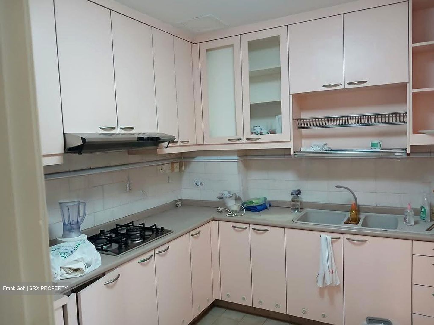 Dover Parkview (D5), Condominium #606928921